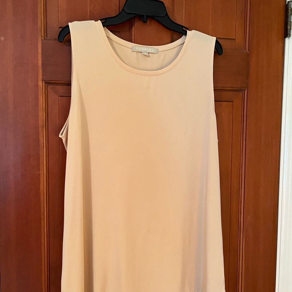 Tan Tunic